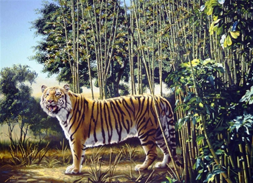 the_hidden_tiger_optical_illusion.jpg