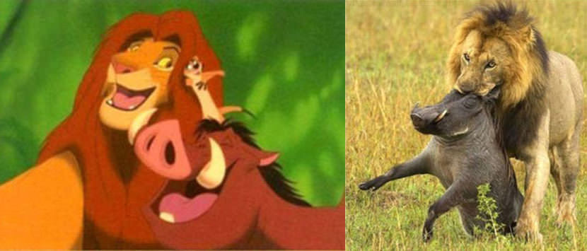 lion-king-is-a-lie