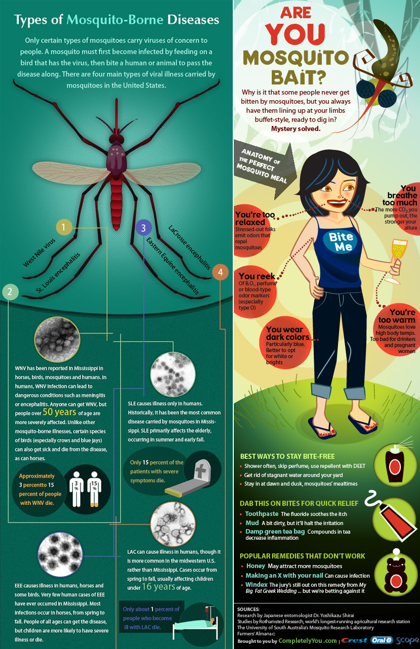 mosquito infographic Why Mosquito are attracted to You