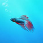 Genuine Microsoft Windows 7 RC Release Candidate
