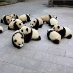 Download 1 Month Free Panda Dome Antivirus - Next Generation Anti-Malware