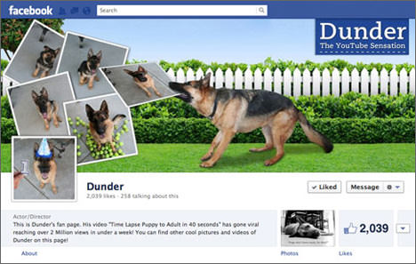 facebook-timeline-cover-blog-1