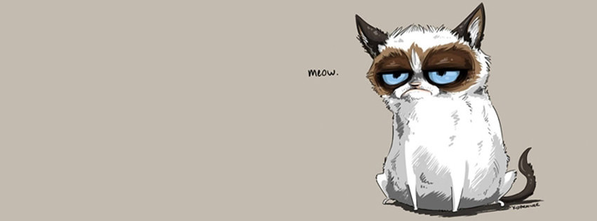 grumpy cat facebook cover