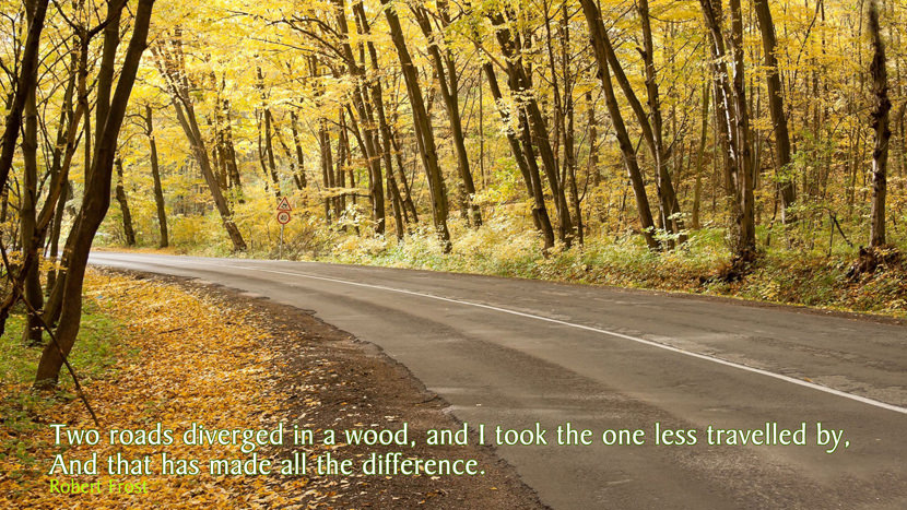 two roads diverged in a wood, and I took the one less traveled by, and that has made all the difference.