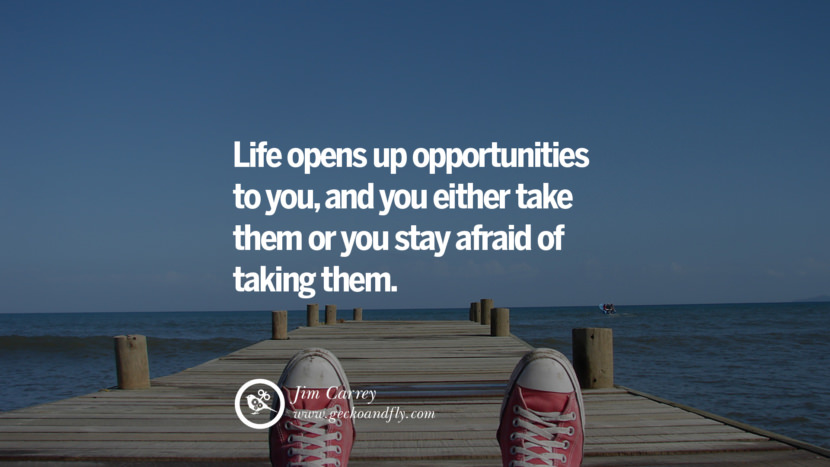 Life opens up opportunities to you, and you either take them or you stay afraid of taking them. - Jim Carrey