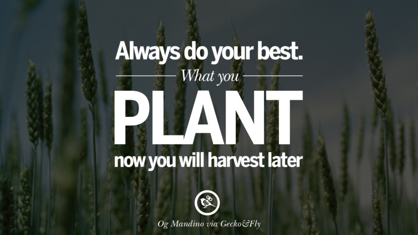 Inspirational Motivational Poster Quotes on Sports and Life Always do your best. What you plant now, you will harvest later. - Og Mandino
