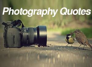 Quotes About Photography By Famous Photographer