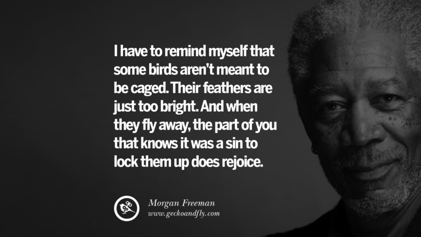 I have to remind myself that some birds aren't meant to be caged. Their feathers are just too bright. And when they fly away, the part of you that knows it was a sin to lock them up does rejoice. Quote by Morgan Freeman