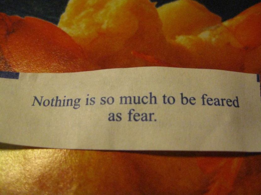 Nothing is so much to be feared as fear. Photo of Chinese Fortune Cookie