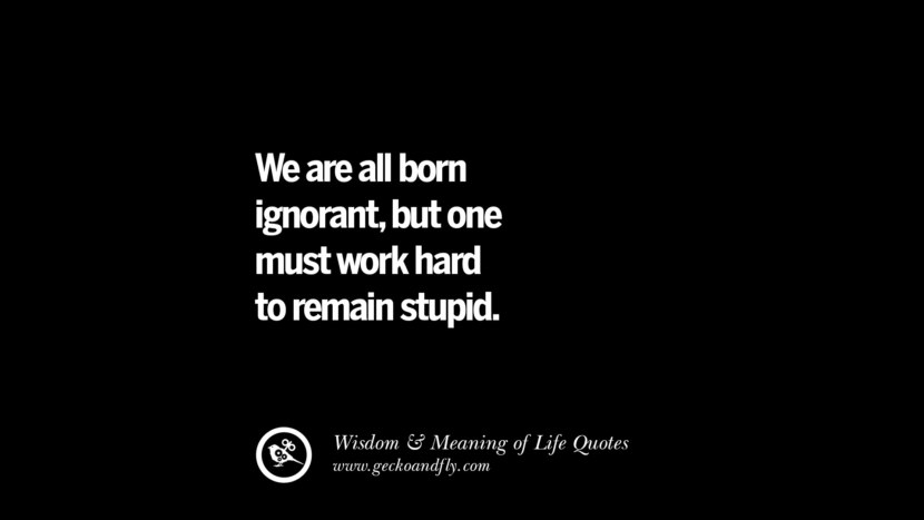 We are all born ignorant, but one must work hard to remain stupid.