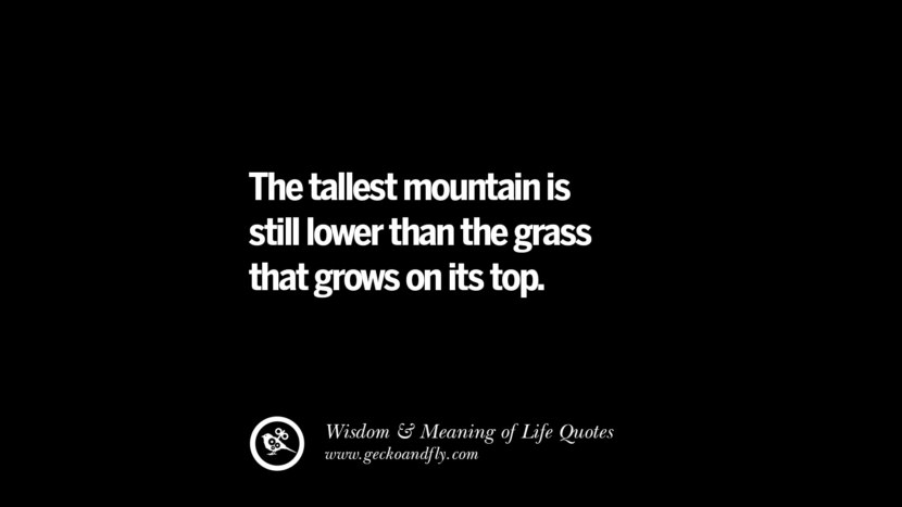 The tallest mountain is still lower than the grass that grows on its top.