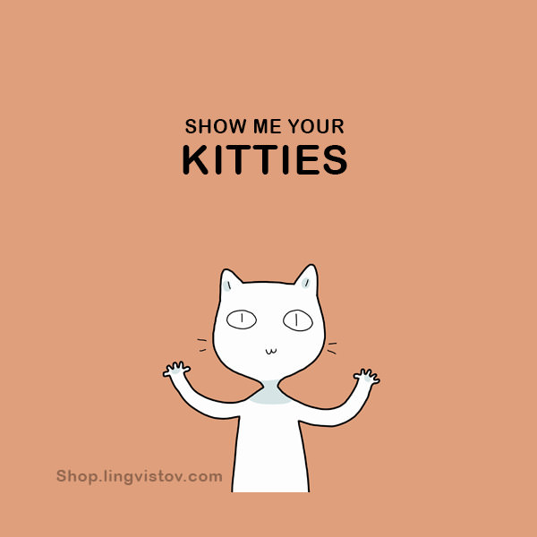 Your kitten