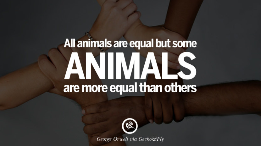 All animals are equal but some animals are more equal than others. Quote by George Orwell