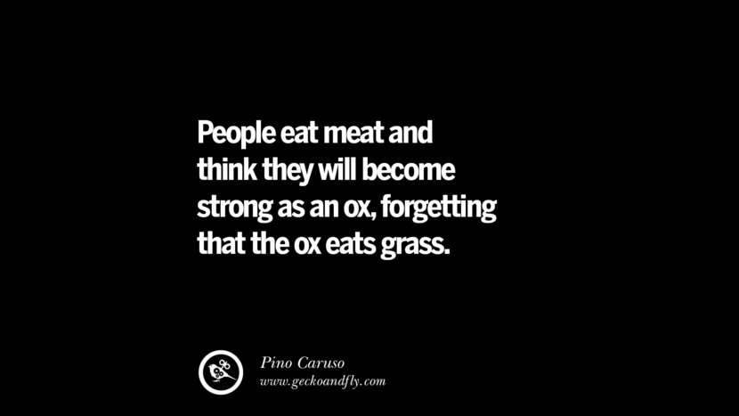 People eat meat and think they will become strong as an ox, forgetting that the ox eats grass. - Pino Caruso