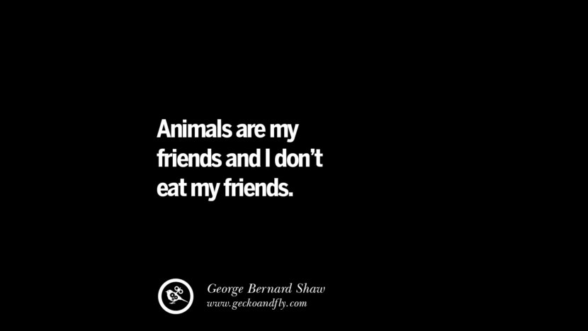 Animals are my friends and I don't eat my friends. - George Bernard Shaw