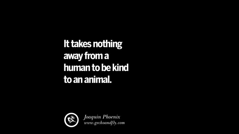 It takes nothing away from a human to be kind to an animal. - Joaquin Phoenix