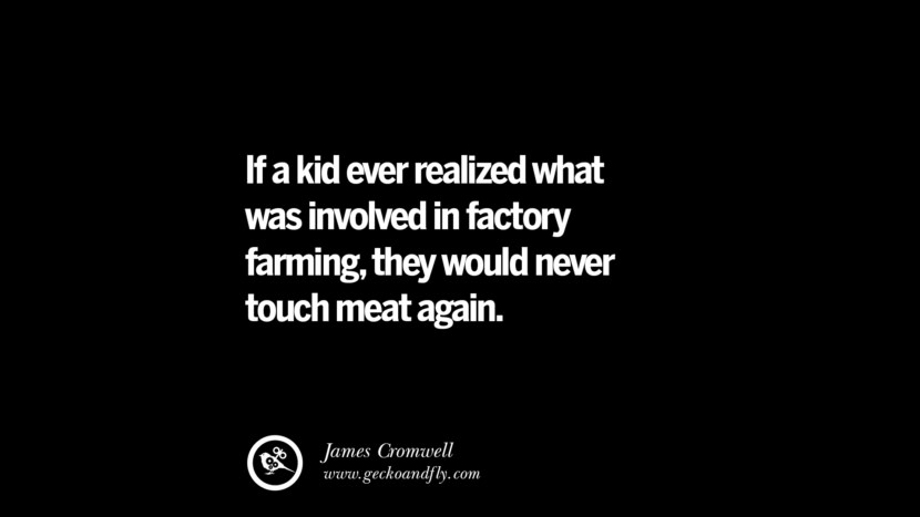 If a kid ever realized what was involved in factory farming, they would never touch meat again. - James Cromwell