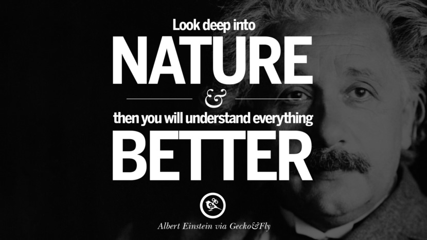 Look deep into nature and then you will understand everything better. Quote by Albert Einstein