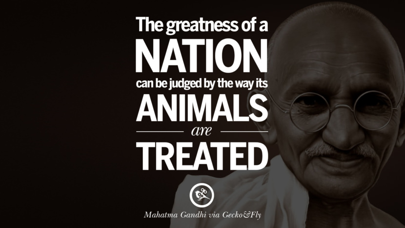 The greatness of a nation can be judged by the way its animals are treated. Quote by Mahatma Gandhi