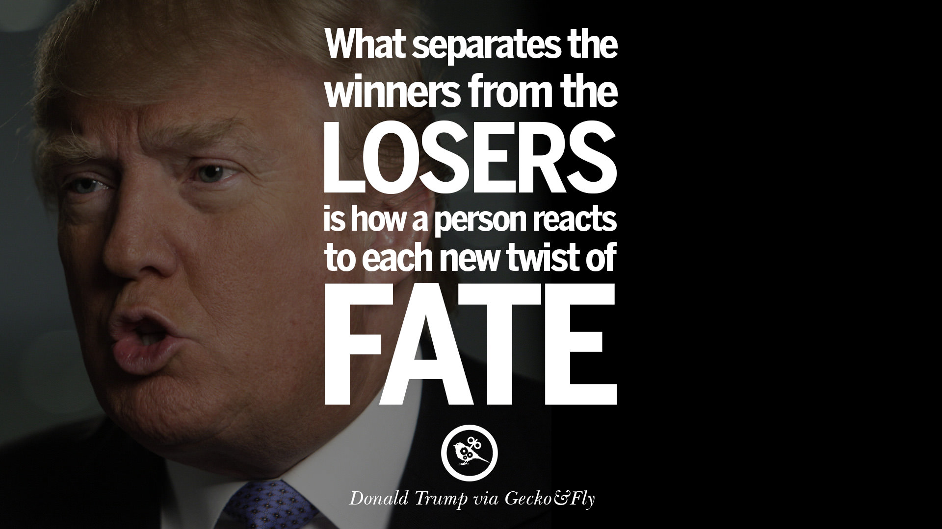 12 Quotes By Donald Trump On Success Failure Wealth And 12 Quotes By Donald Trump On Success Failure Wealth And