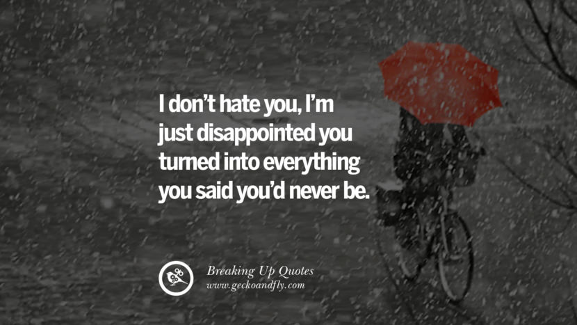 I don't hate you , I'm just disappointed you turned into everything you said you'd never be.