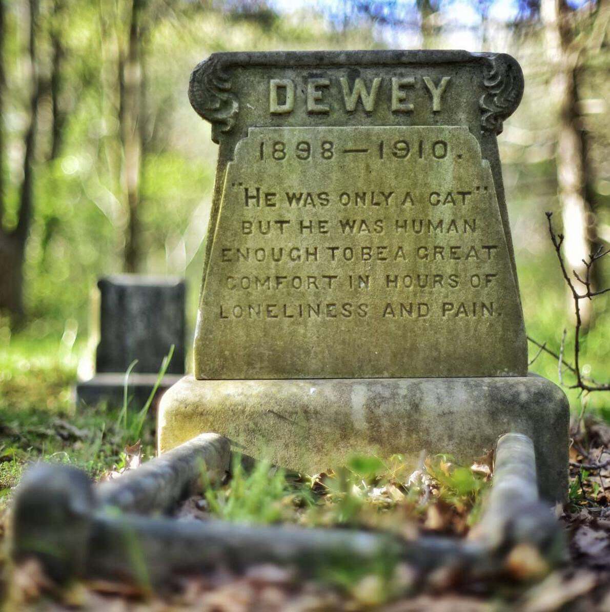 pet dog headstones