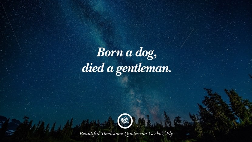 Born a dog, died a gentleman.