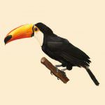 Beautiful Quotes About Saving Mother Nature And Earth