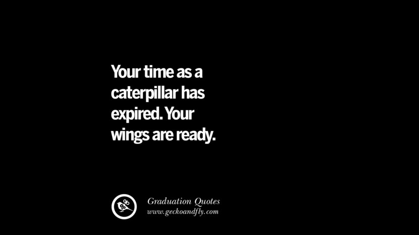Your time as a caterpillar has expired. Your wings are ready.