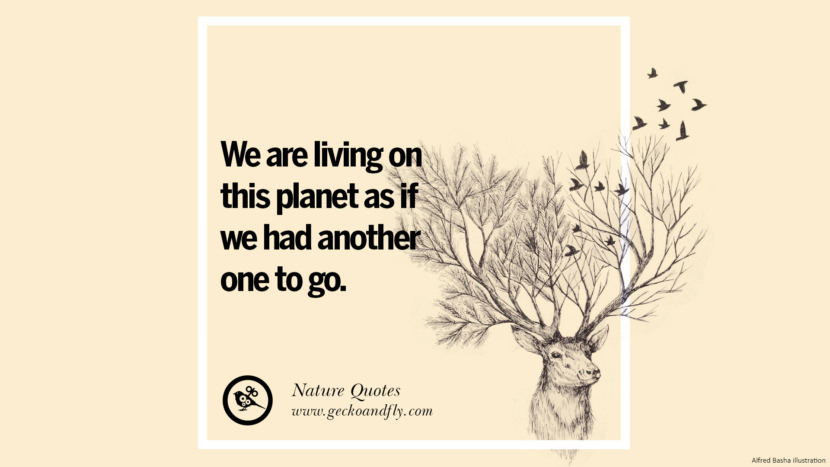 We are living on this planet as if they had another one to go.
