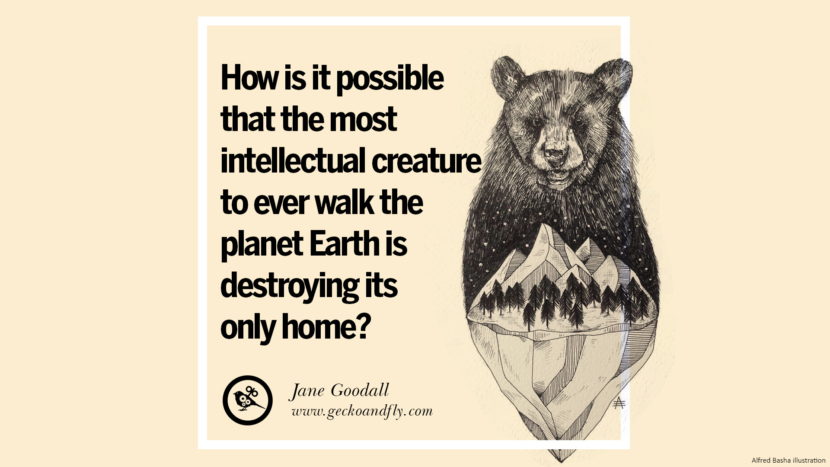 How is it possible that the most intellectual creature to ever walk the planet Earth is destroying its only home? - Jane Goodall