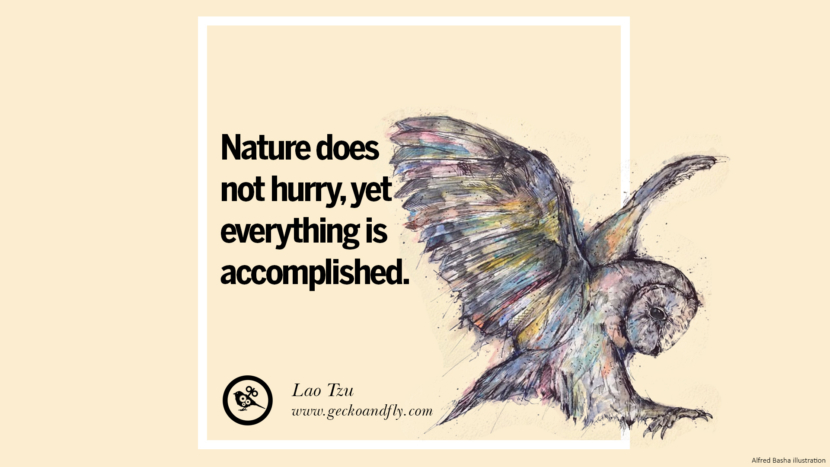 Nature does not hurry, yet everything is accomplished. - Lao Tzu