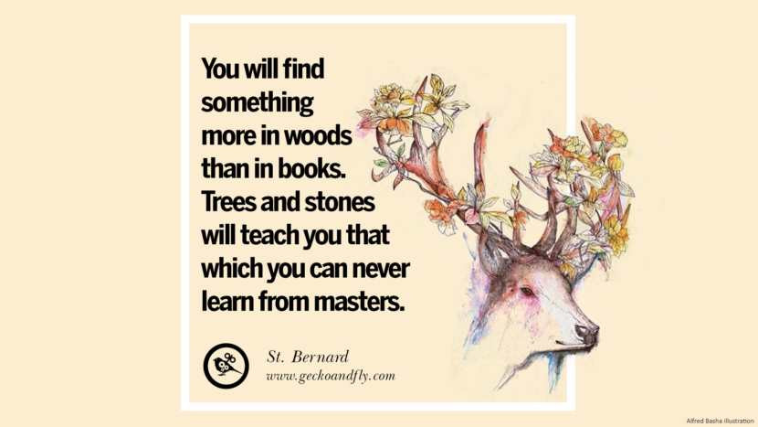 You will find something more in woods than in books. Trees and stones will teach you that which you can never learn from masters. - St. Bernard