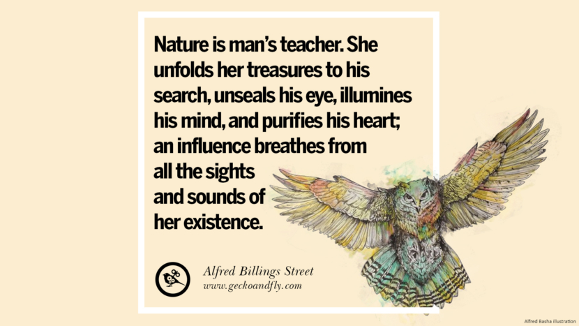 Nature is man's teacher. She unfolds her treasures to his search, unseals his eye, illumines his mind, and purifies his heart; an influence breathes from all the sights and sounds of her existence. - Alfred Billings Street