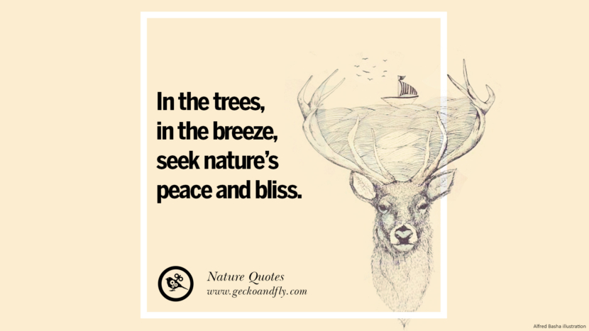 In the trees, in the breeze, seek nature's peace and bliss.