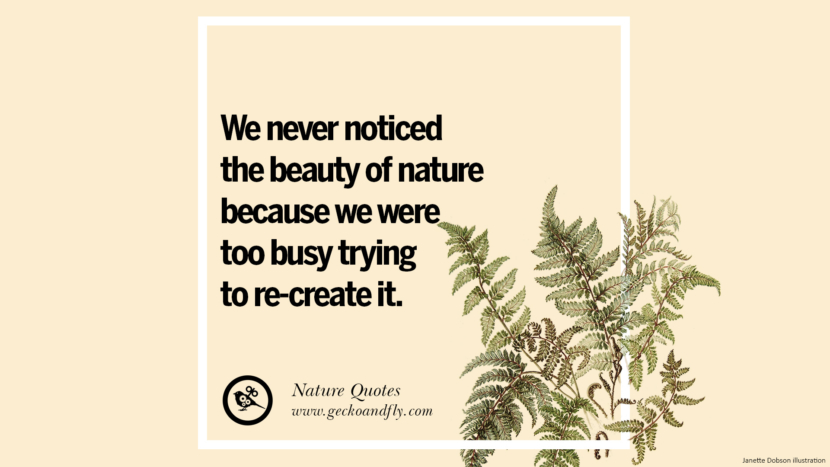 We never notices the beauty of nature because they were too busy trying to re-create it.