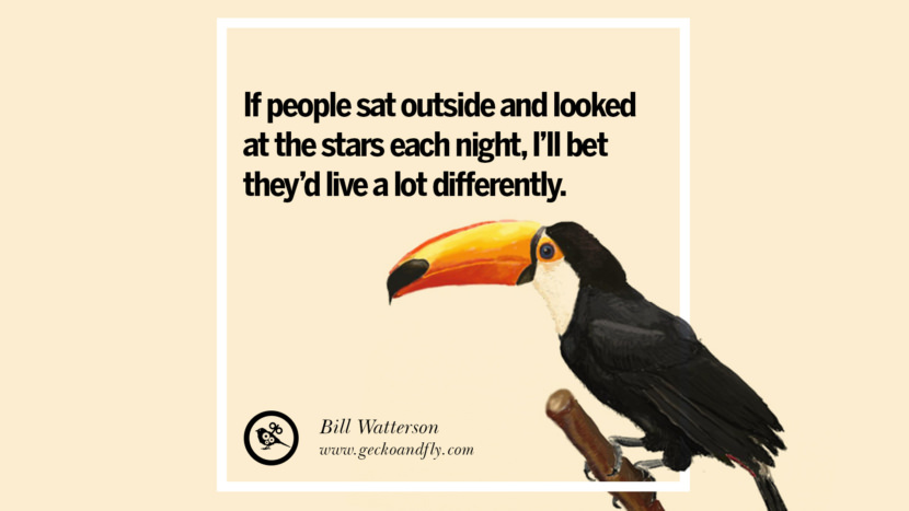 If people sat outside and looked at the stars each night, I'll bet they'd live a lot differently.