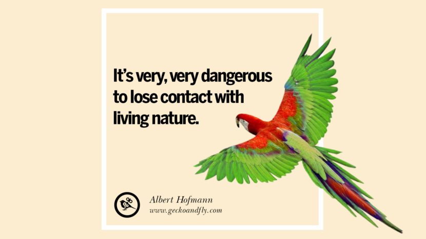 It's very, very dangerous to lose contact with living nature. - Albert Hofmann