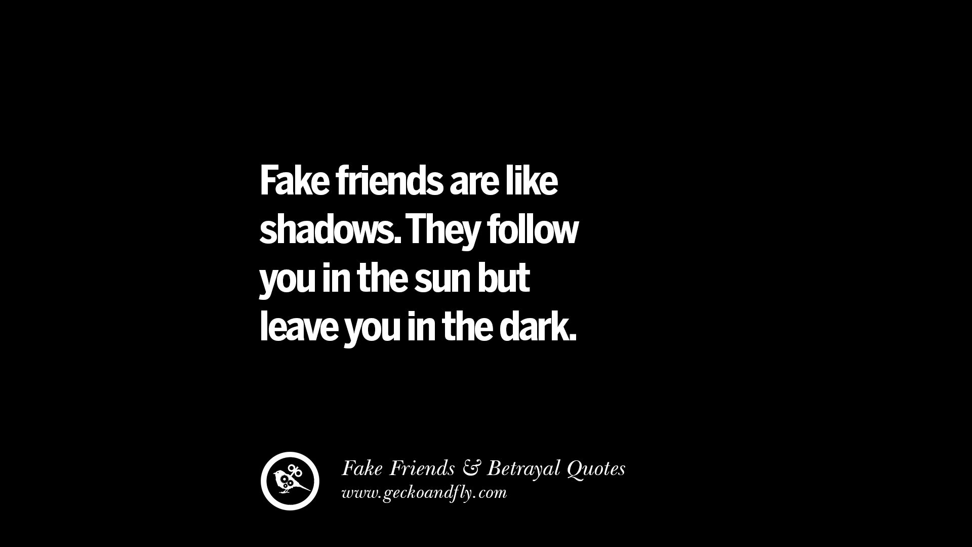 Fake friends are like shadows. 