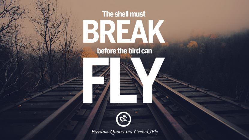 The shell must break before the bird can fly.