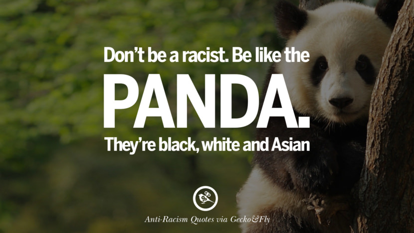 Don't be a racist. Be like the panda. They're black, white and Asian. Quotes About Anti Racism And Against Racial Discrimination Instagram Pinterest Facebook