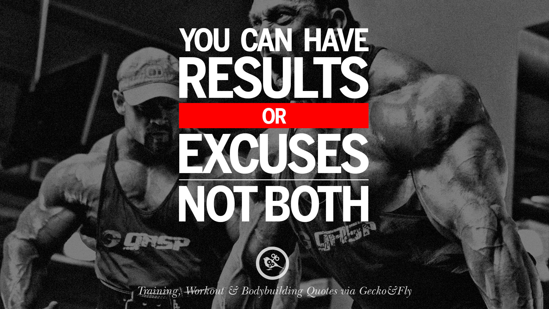 That has resulted. No Pain no gain на рабочий стол. You can мотивация. No Pain no gain обои. You can have Results or excuses not both.