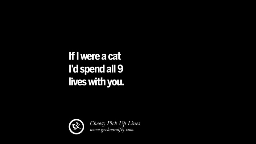If I were a cat I'd speed all 9 lives with you.