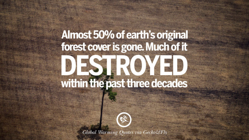 Almost 50% of earth's original forest cover is gone. Much of it destroyed within the past three decades.