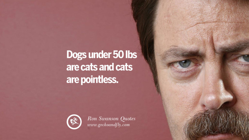 Dogs under 50 lbs are cats and cats are pointless. Quote by Ron Swanson