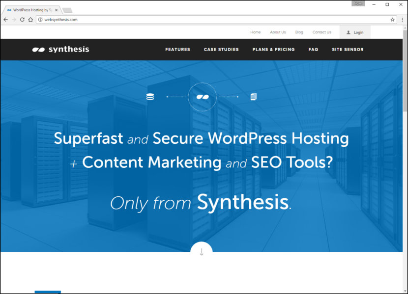 Synthesis Fastest WordPress Hosting With Varnish Cache, CDN & Daily Backup