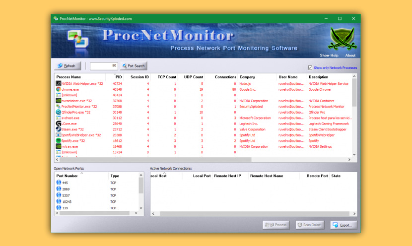 Process Network Monitor