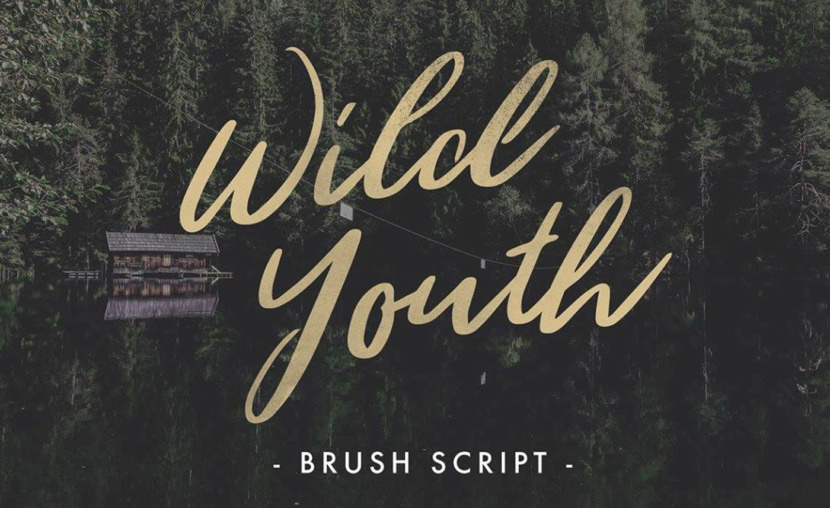 Wild Youth
