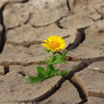 Best Lessons For Life Quotes And Disappointments