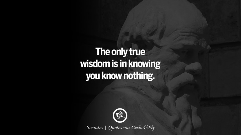 The only true wisdom is in knowing you know nothing. - Socrates